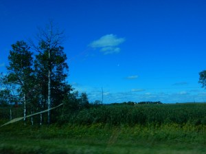 DSCN0242[1]